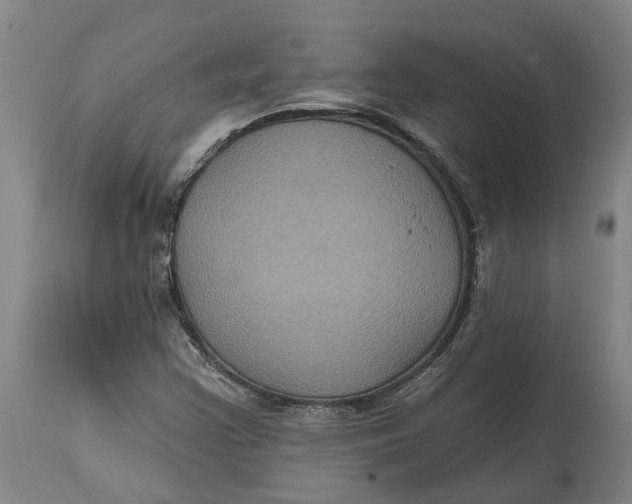 X0000114731355200911121745