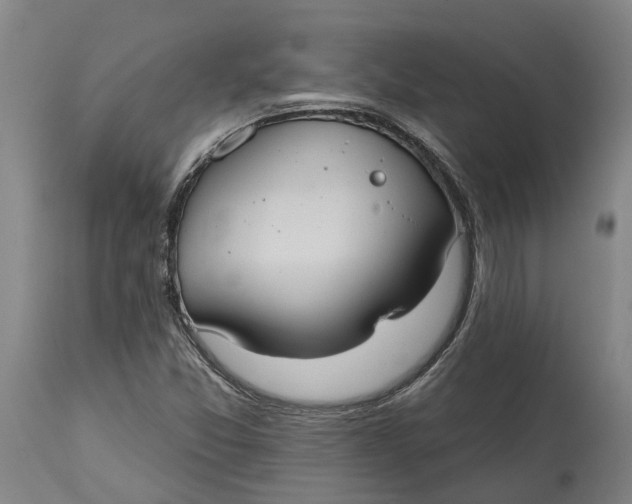 X0000114731357200911121745