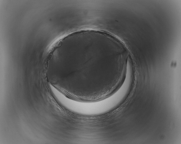 X0000114731359200911121745