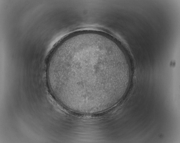X0000114731360200911121745