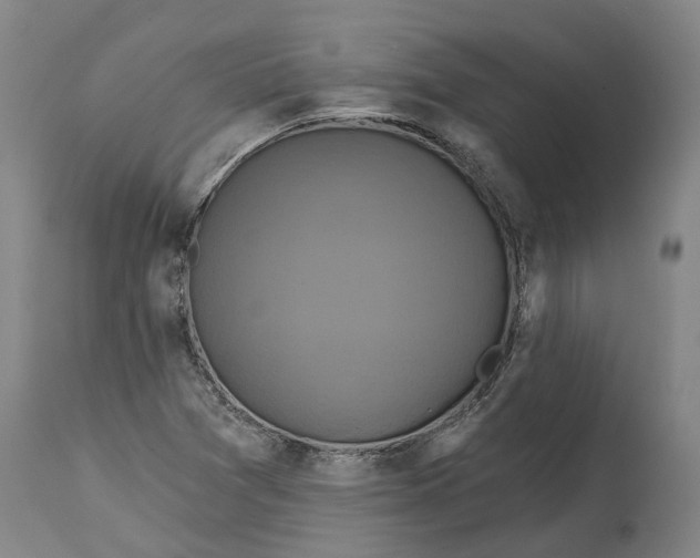 X0000114731361200911121745