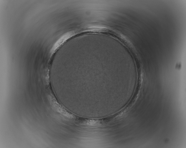 X0000114731362200911121745