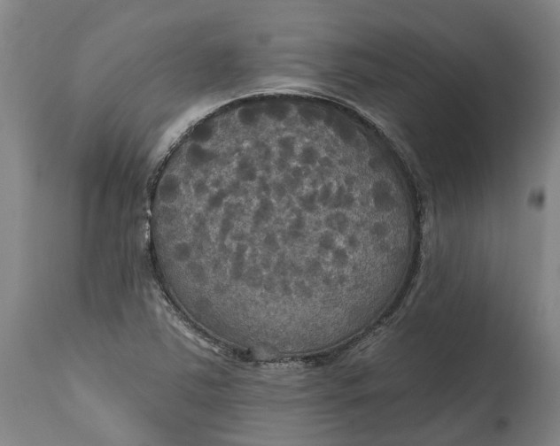 X0000114731363200911121745