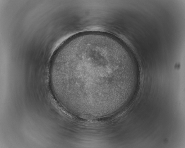 X0000114731364200911121745