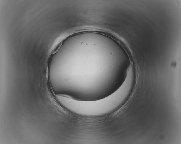 X0000114731365200911121745