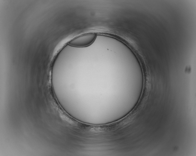 X0000114731366200911121745