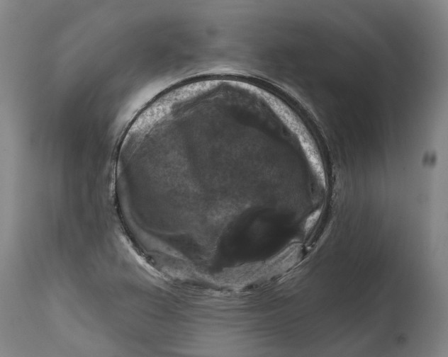 X0000114731367200911121745