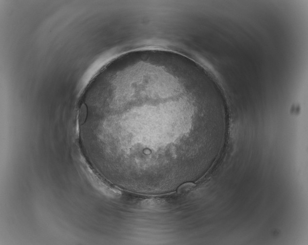 X0000114731368200911121745
