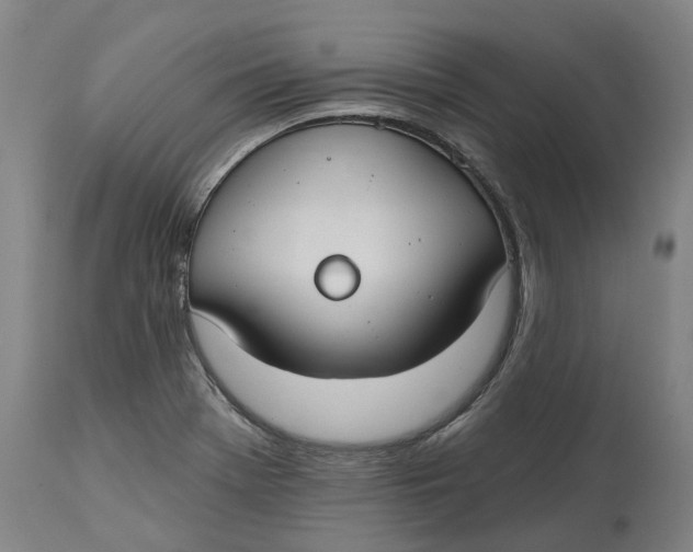 X0000114731369200911121745
