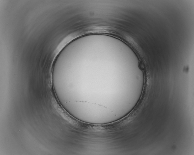 X0000114731370200911121745