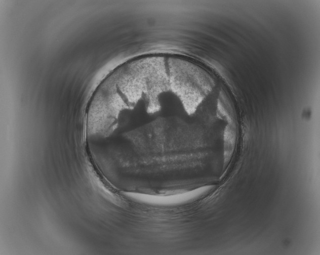 X0000114731371200911121745