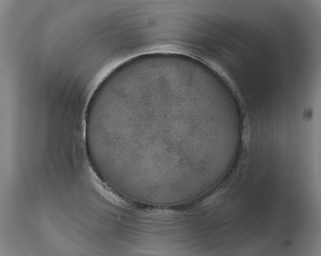 X0000114731372200911121745