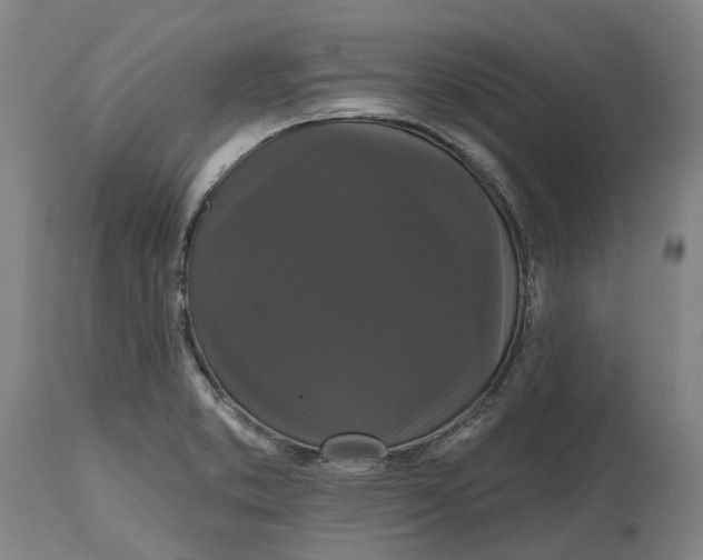 X0000114731373200911121745