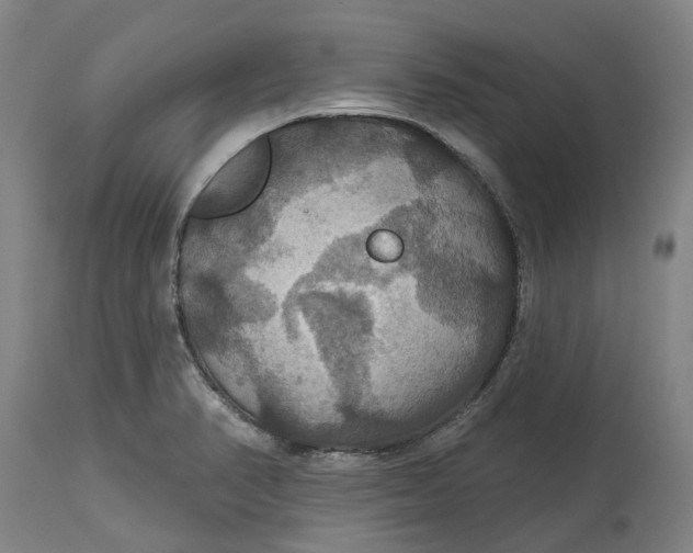 X0000114731374200911121745