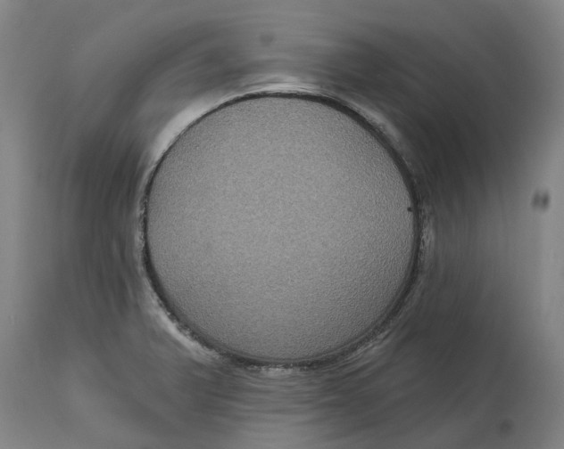X0000114731375200911121745