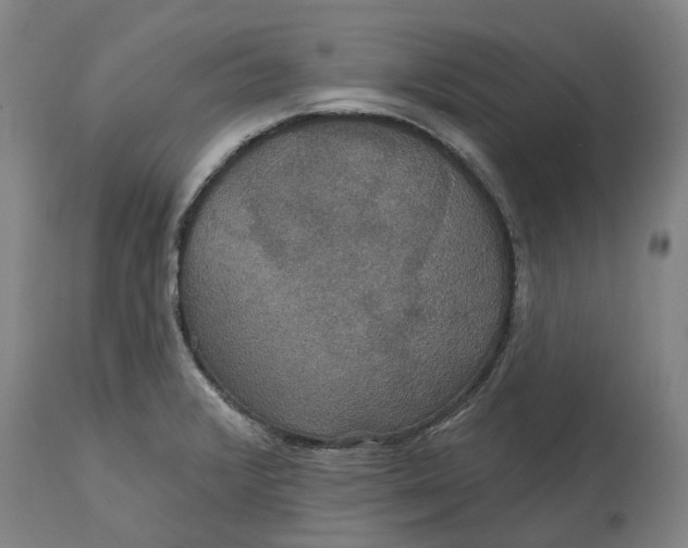 X0000114731376200911121745