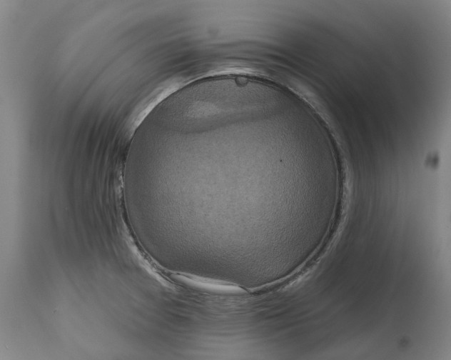 X0000114731377200911121745