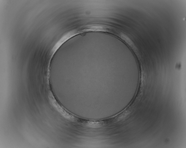 X0000114731378200911121745
