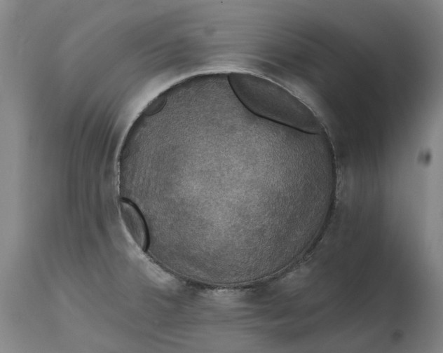 X0000114731380200911121745