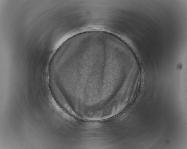 X0000114731382200911121745