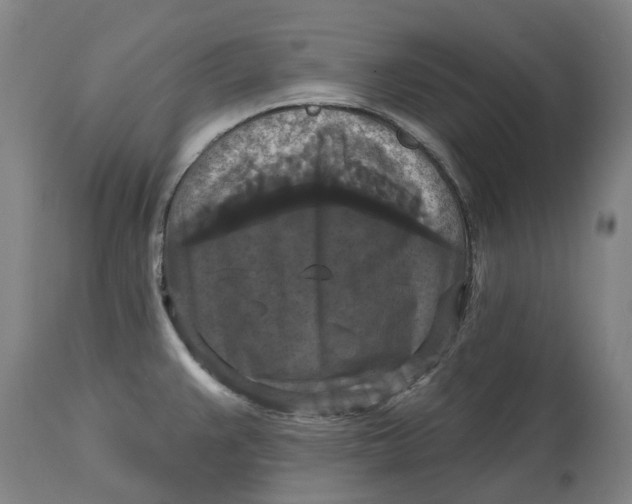 X0000114731383200911121745