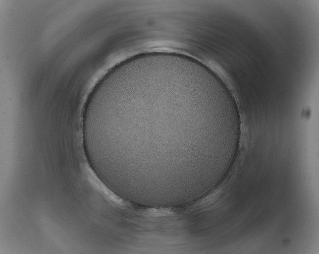 X0000114731384200911121745