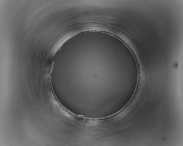X0000114731385200911121745