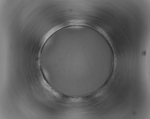 X0000114731386200911121745