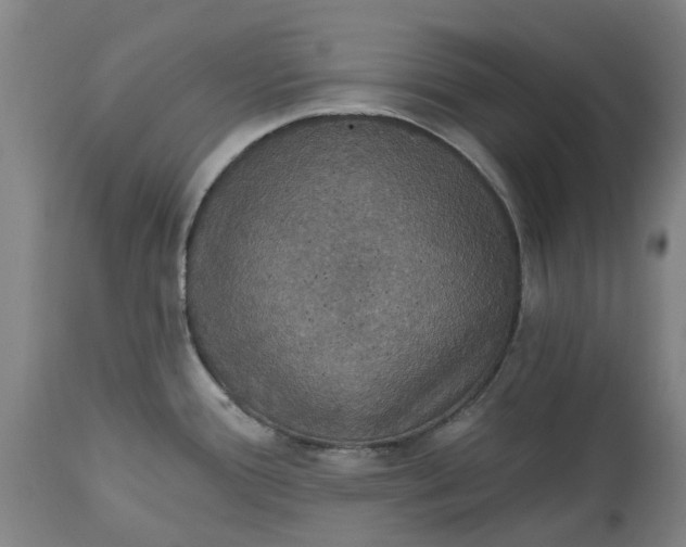 X0000114731388200911121745