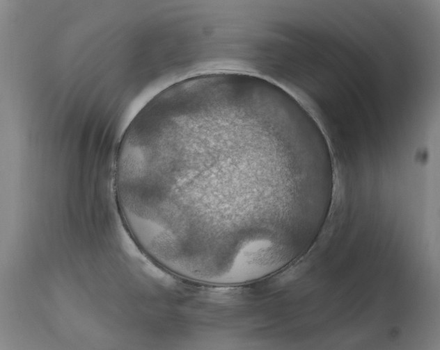 X0000114731390200911121745