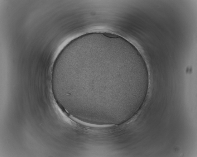 X0000114731392200911121745