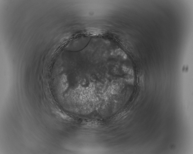 X0000114731393200911121744