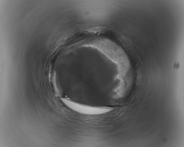 X0000114731394200911121744
