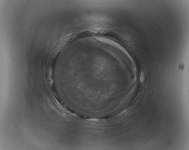X0000114731396200911121744