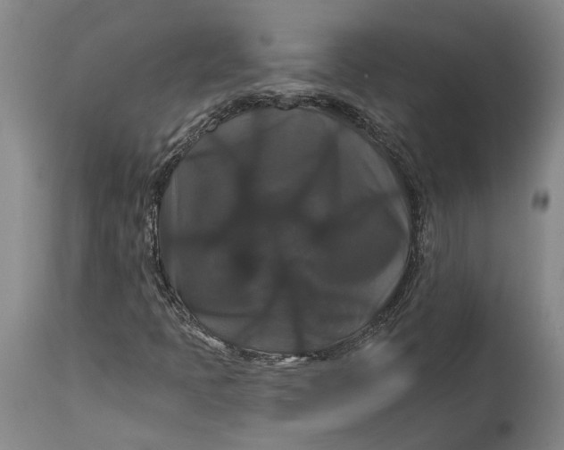 X0000114731397200911121744