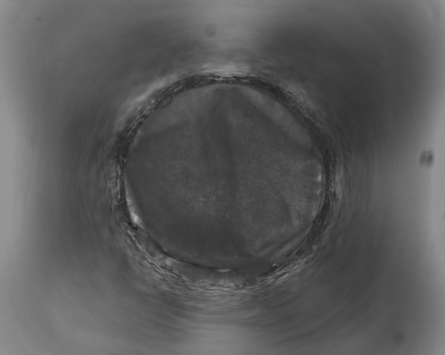 X0000114731398200911121744