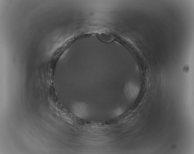 X0000114731399200911121744