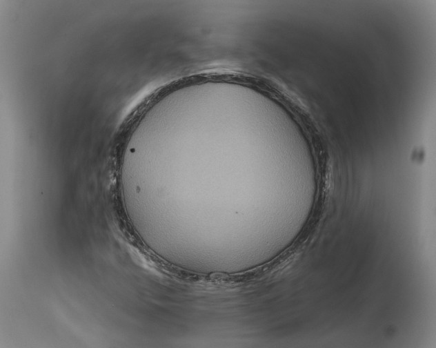 X0000114731400200911121744