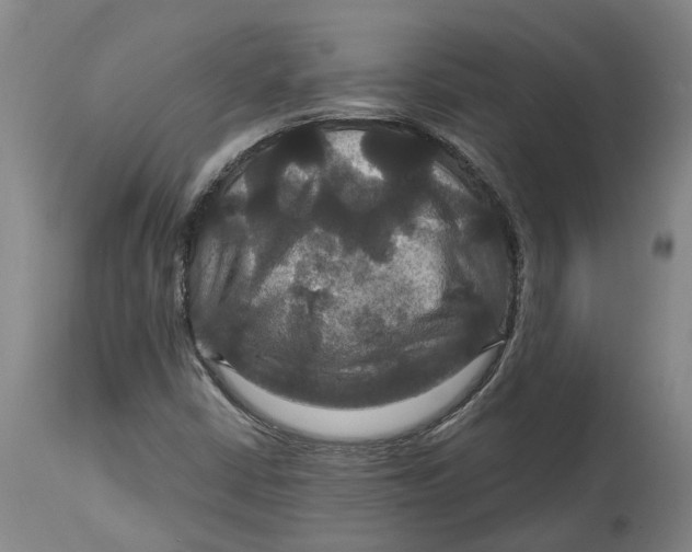 X0000114731402200911121744