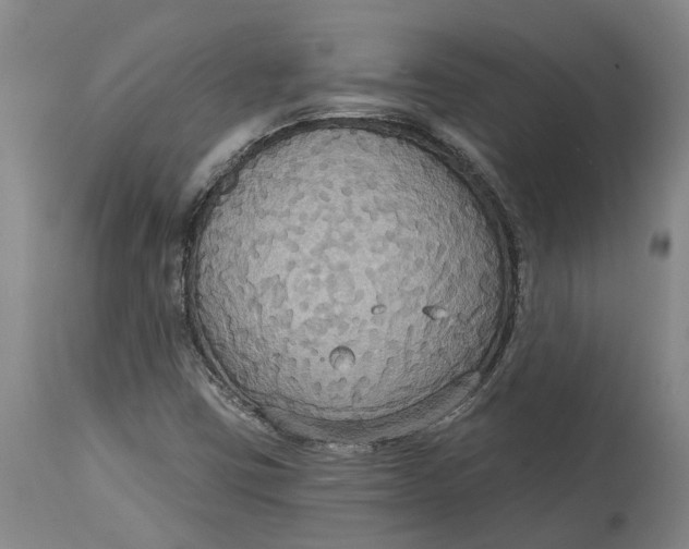 X0000114731403200911121744