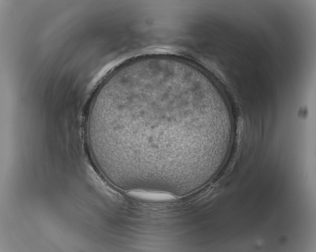 X0000114731404200911121744