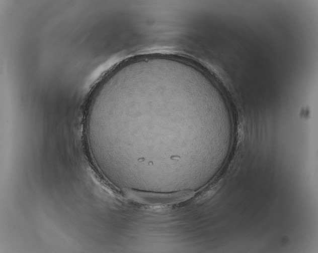 X0000114731406200911121744