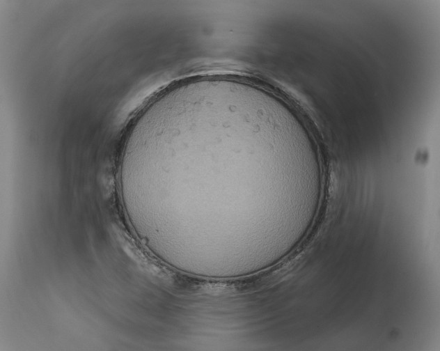X0000114731407200911121744