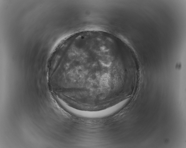 X0000114731408200911121744