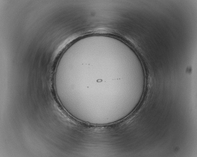 X0000114731410200911121744