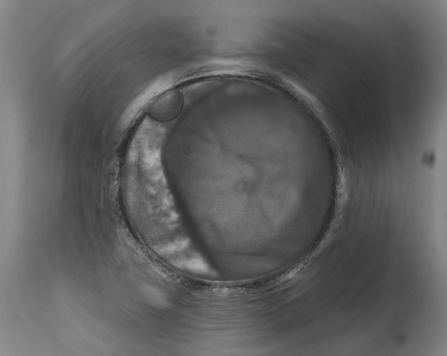 X0000114731411200911121744