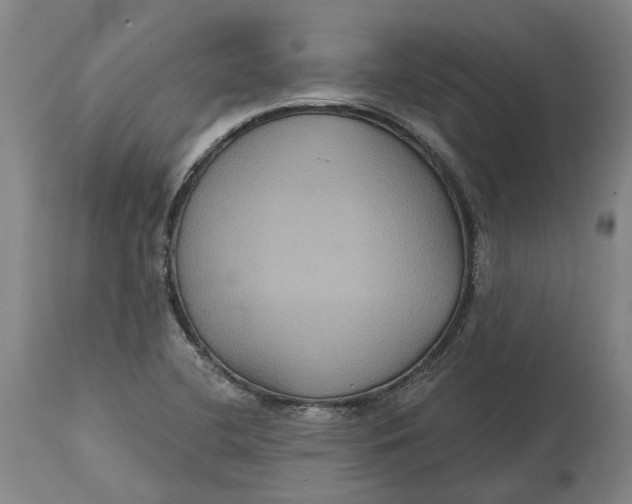 X0000114731412200911121744