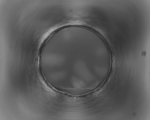 X0000114731414200911121744