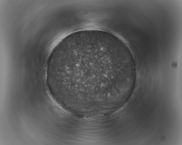 X0000114731415200911121744