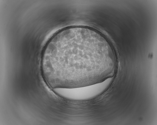 X0000114731416200911121744
